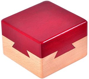 Zernnis Caja de Cerradura de Rompecabezas mágico de Madera para Juegos de Inteligencia